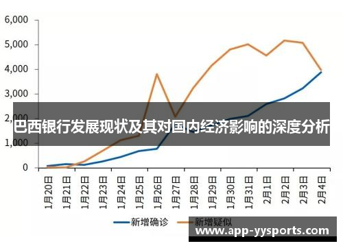 巴西银行发展现状及其对国内经济影响的深度分析